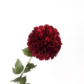 Dahlia Flower Stem Burgundy 57cmH